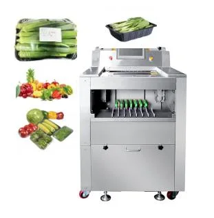 Machine d'emballage de scelleuse de plateaux sous vide, Machine rotative de scellage de plateaux alimentaires sous vide